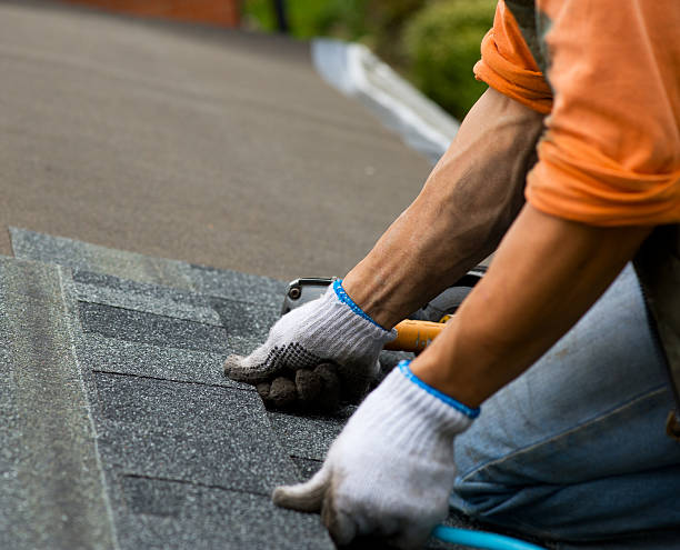 Roof Gutter Cleaning in Eastern Goleta Valley, CA